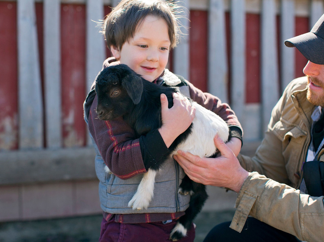Mulberry Lane Farm-Hilbert必去景点