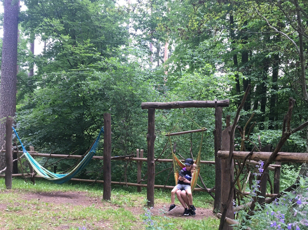 Lesne Arboretum Warmii i Mazur-奥尔什丁必去景点