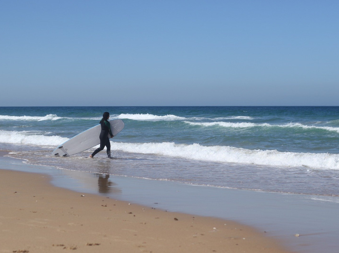 Homies-贝赫尔－德拉弗龙特拉必去景点