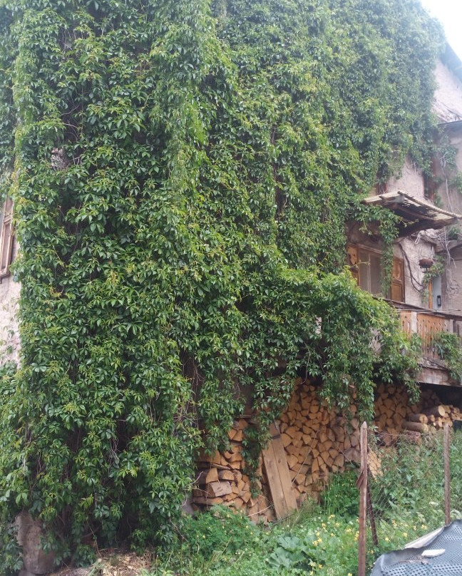Turchia景点图片