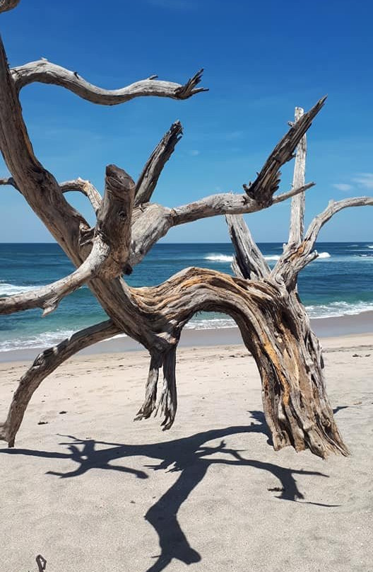 Hotel Georgi CR主图