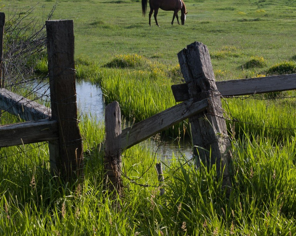 Wasatch Photo Tours - Tours and Lessons-帕克城必去景点