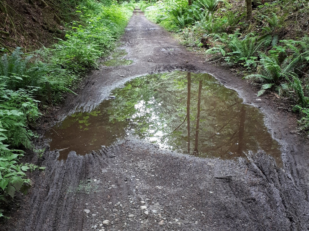 Cowichan Valley trail景点图片