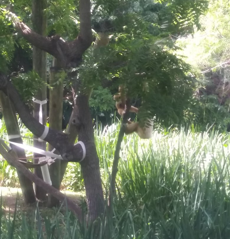 Cameron Park Zoo-韦科必去景点