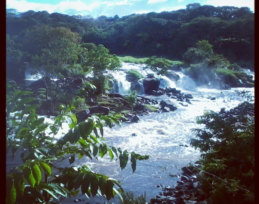 Parque Cachamay景点图片