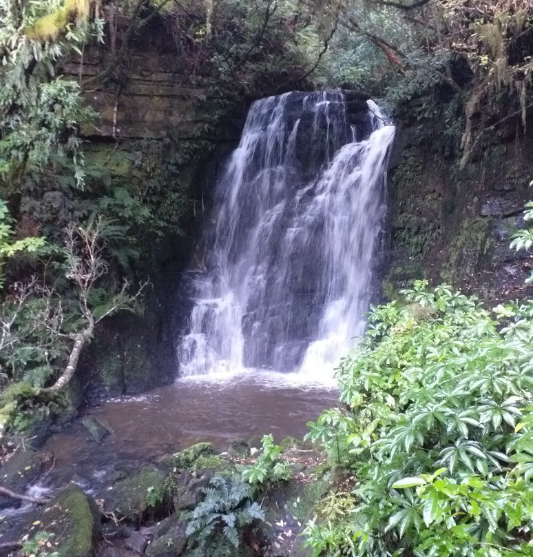 Matai Falls Walk景点图片