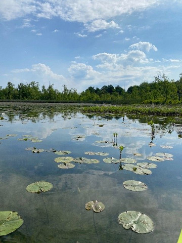 Tully Lake-Tully必去景点