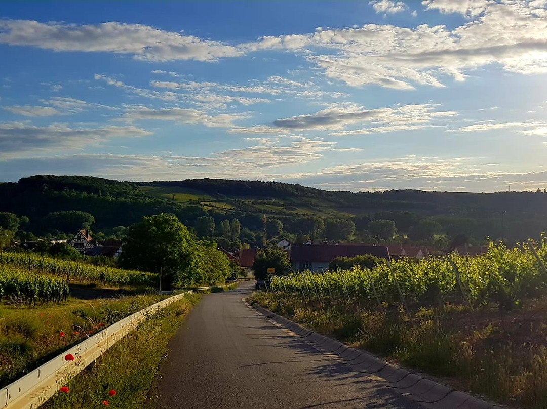 Weingut & Gästehaus Felshof主图