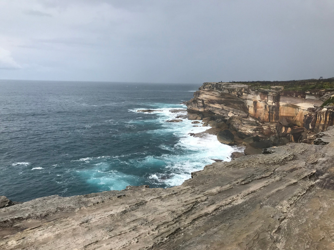Cape Solander景点图片