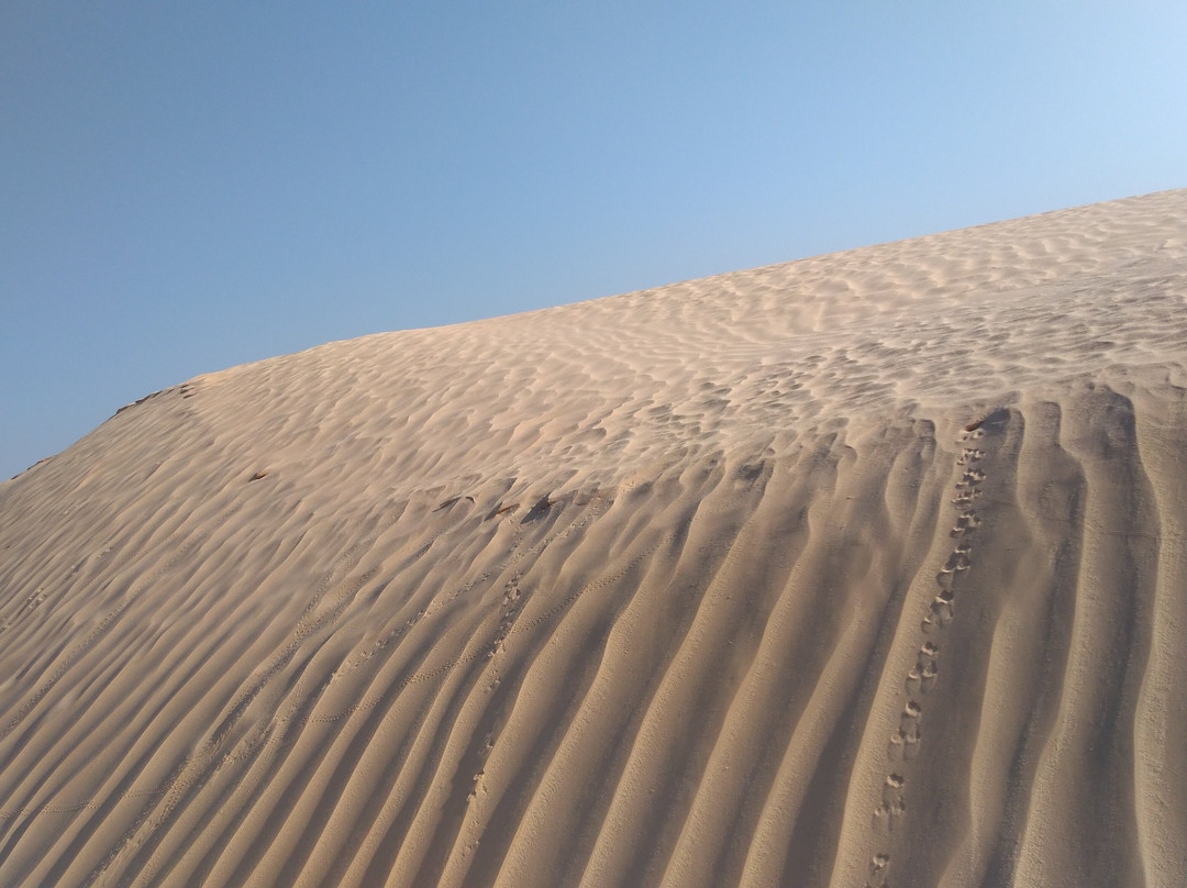 Sahara Desert景点图片