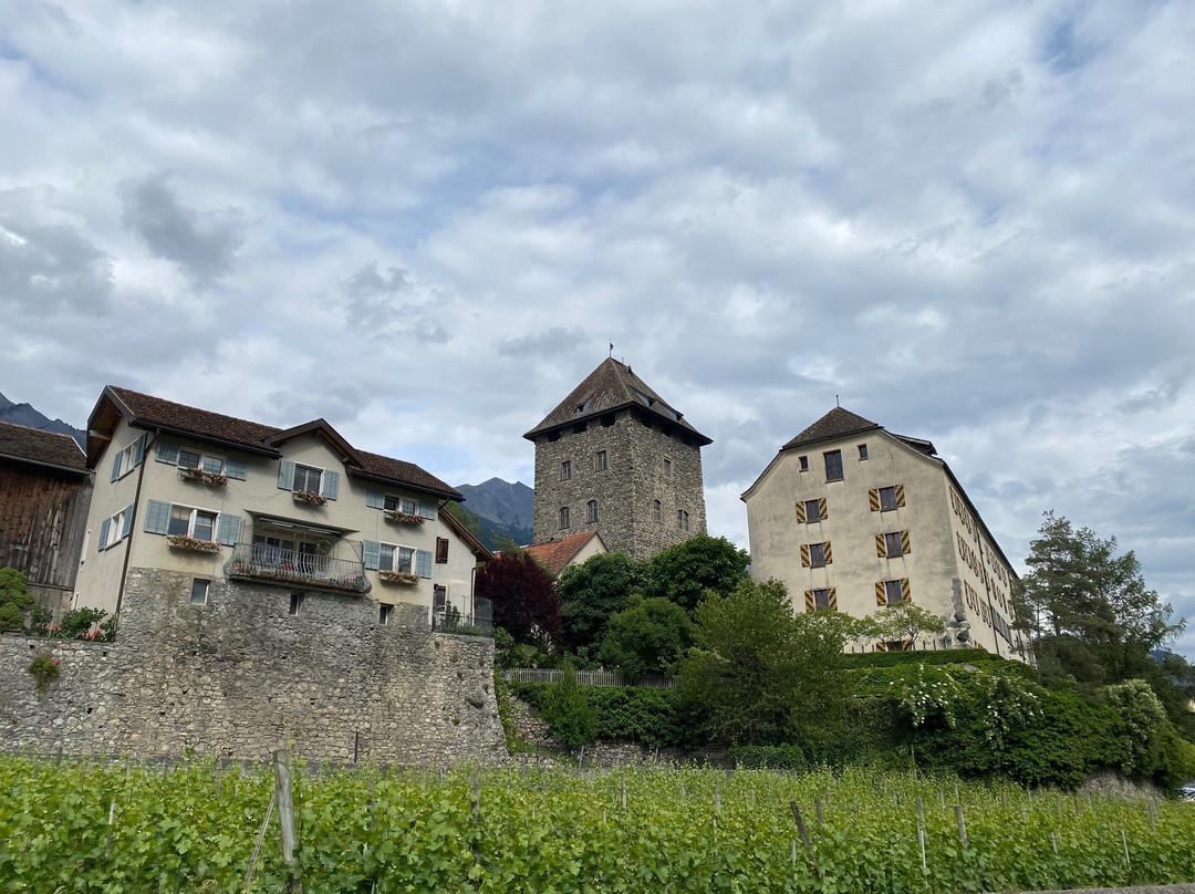 Wine Tours Switzerland景点图片