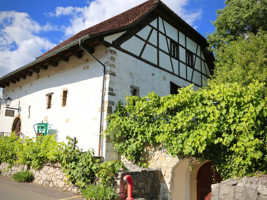 Aargauisch Kantonales Weinbau-Museum景点图片