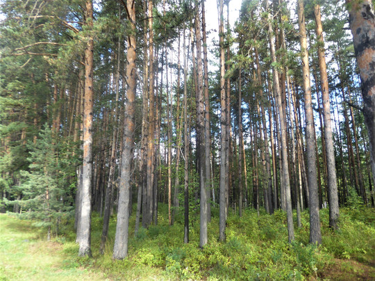 The Obelisk on the Border Between Europe and Asia-叶卡捷琳堡必去景点
