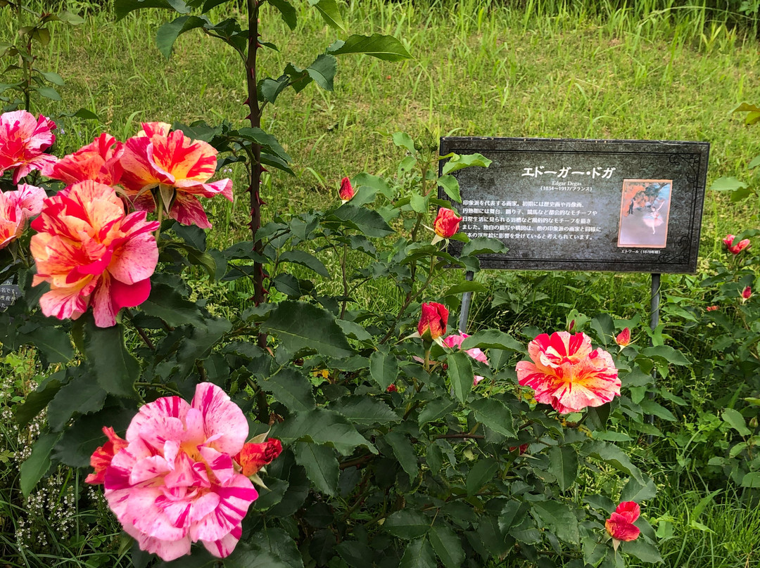 Botanica Museum-千叶市必去景点