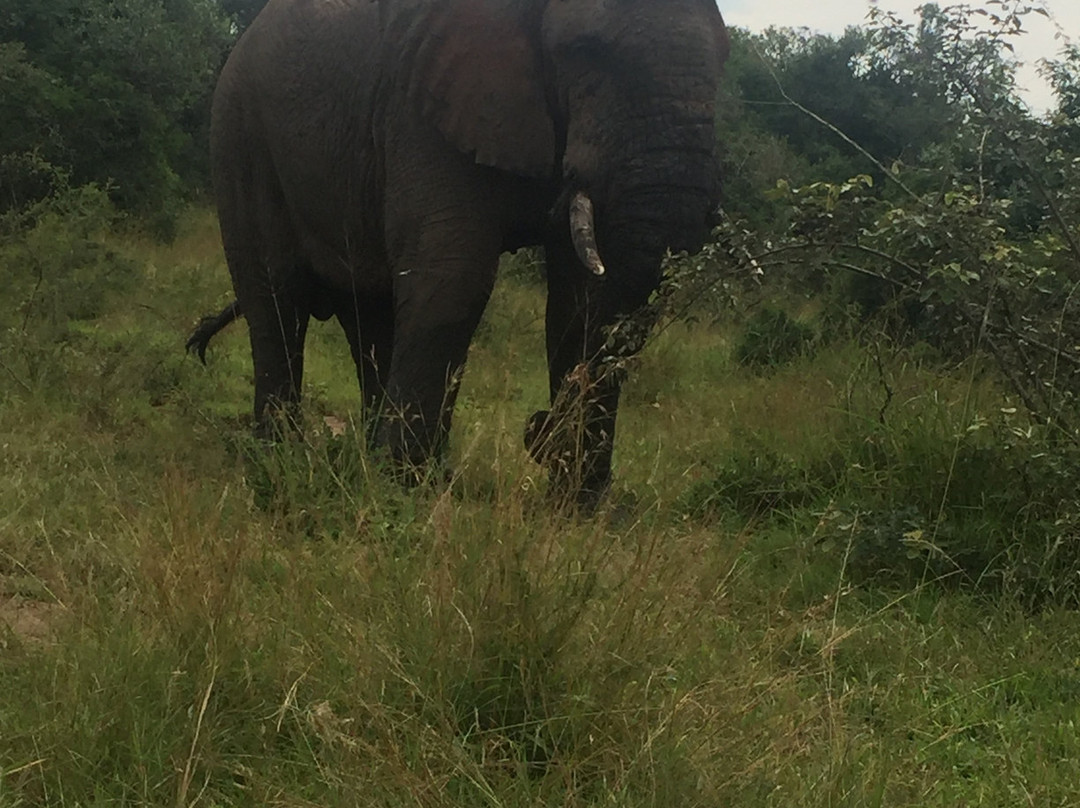Akagera National Park-Eastern Province必去景点