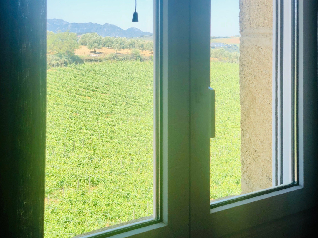 Bodega Dona Felisa主图