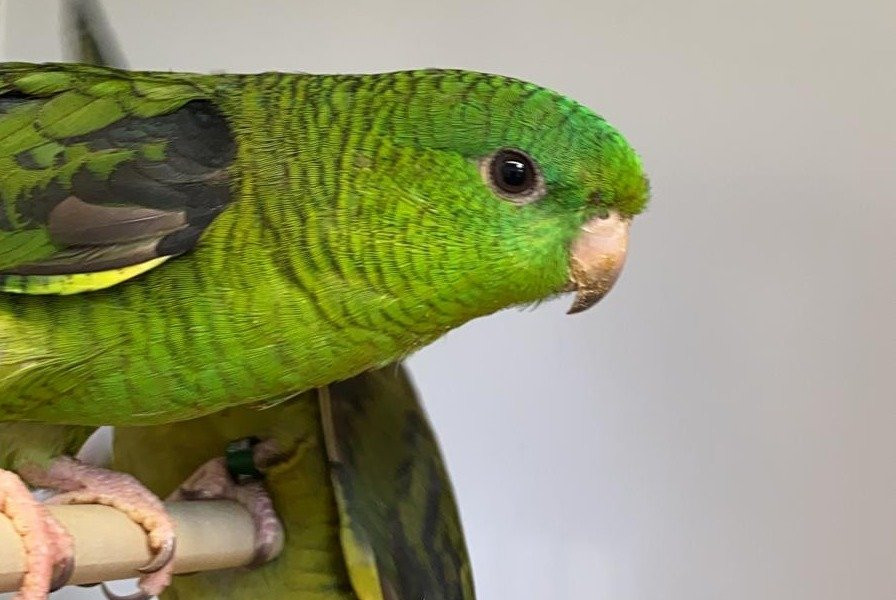 Markham Pet Centre景点图片