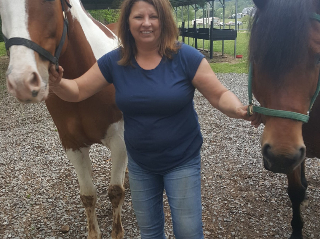 Jordan Hollow Stables-Stanley必去景点