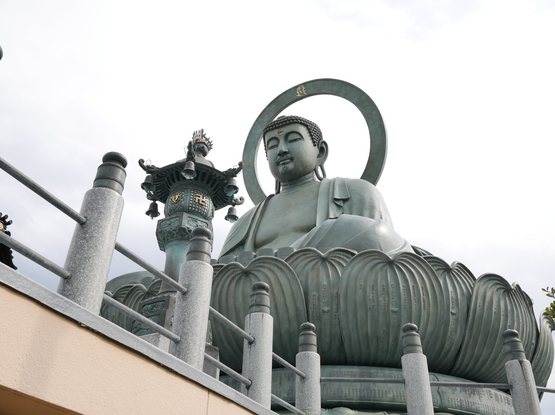 Takaoka Daibutsu Buddha景点图片