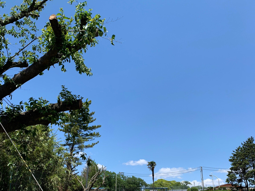 Zama Park-座间市必去景点