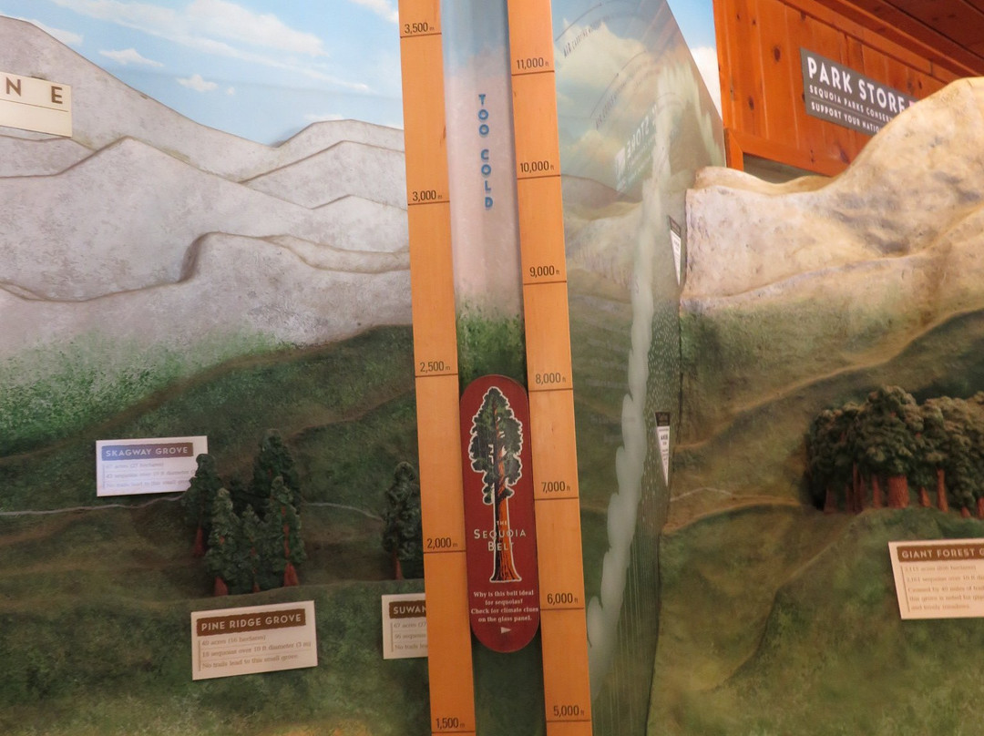 Giant Forest Museum-红杉&国王峡谷国家公园必去景点