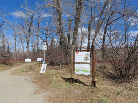 Bowmont Park-卡尔加里必去景点