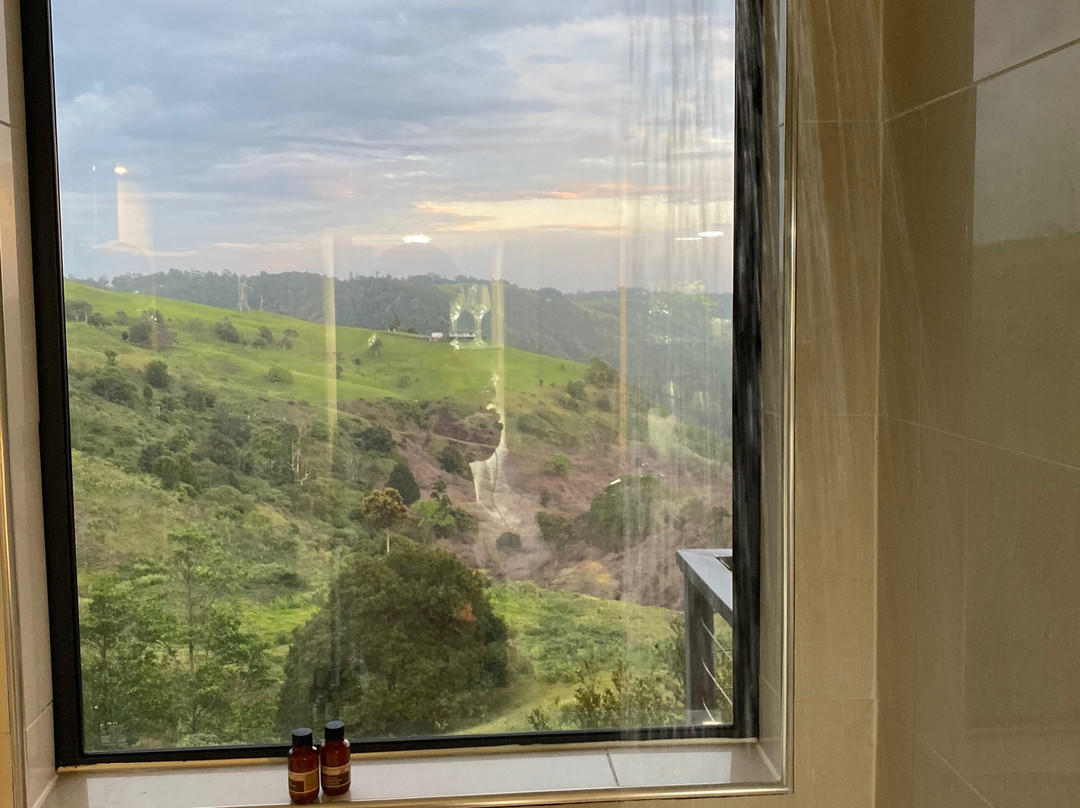 Top of the Hill主图