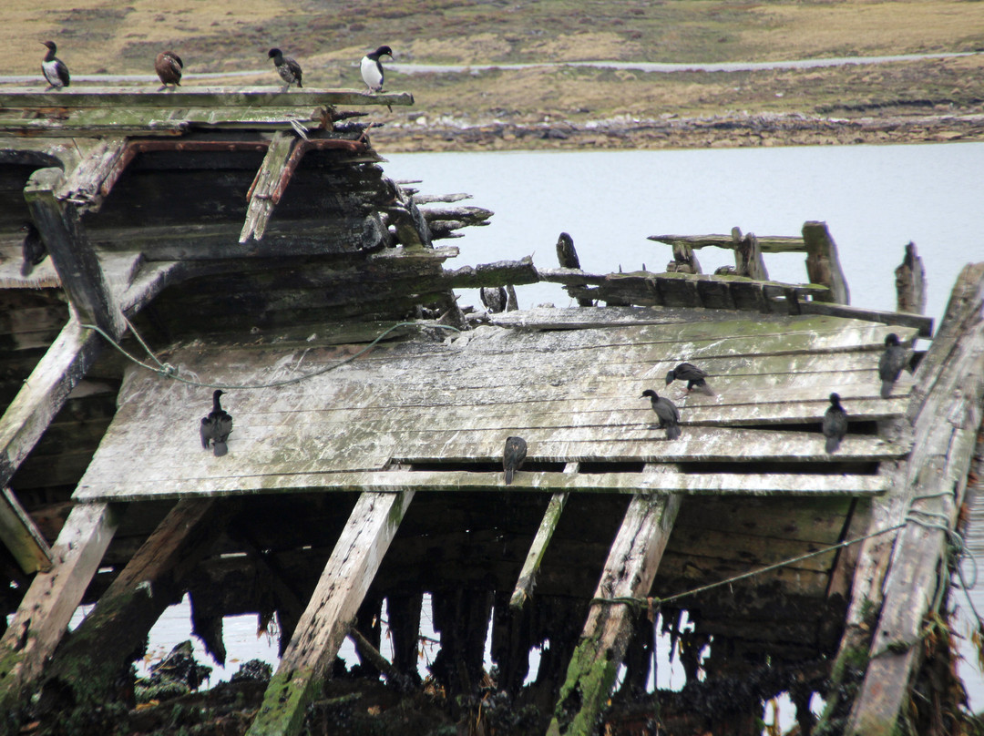 Jhelum Shipwreck景点图片