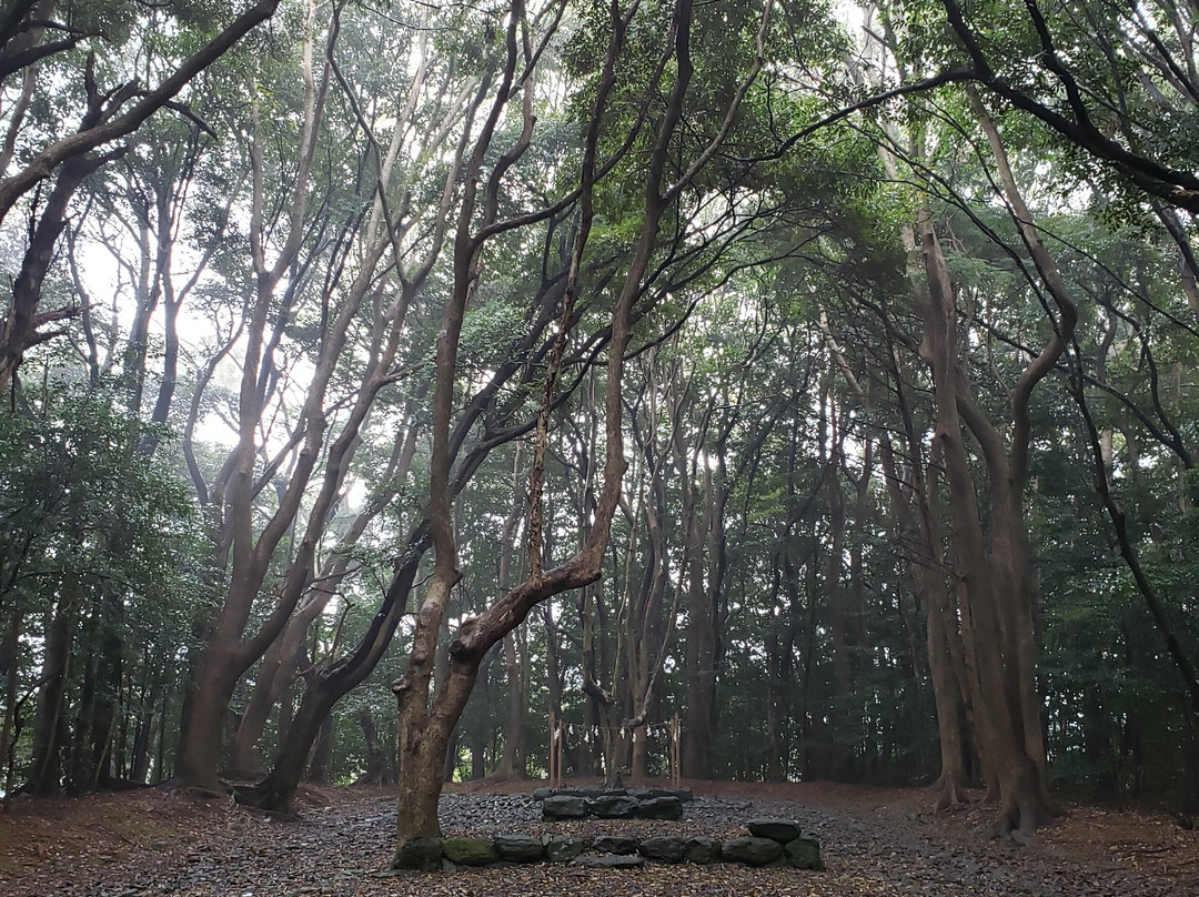 Munakata Taisha Hetsugu Shrine-宗像市必去景点