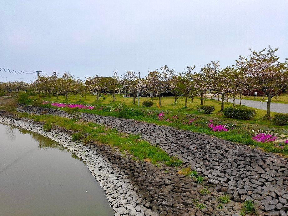 Higata Yoka Park-佐贺市必去景点