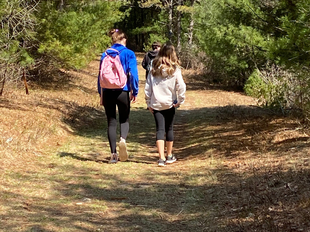 Myles Standish State Forest-普利茅斯必去景点