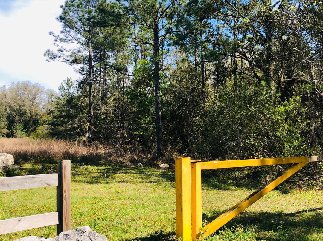 Palatka-Lake Butler State Trail-Lake Butler必去景点