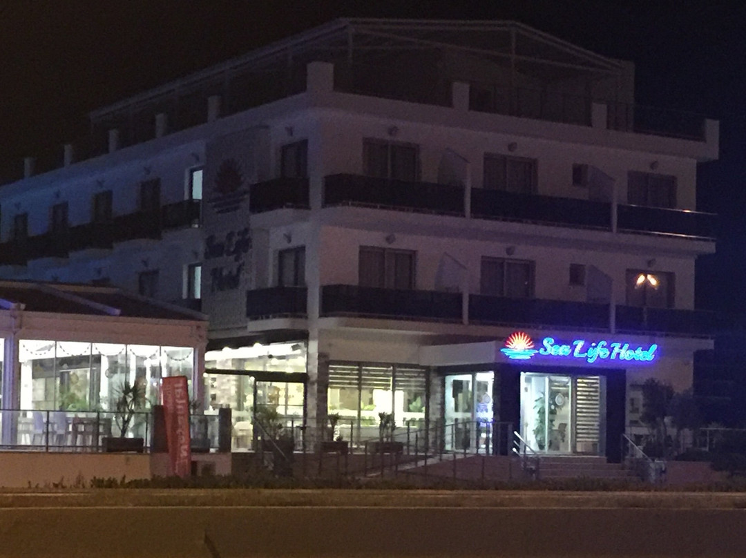 Sea Life Hotel主图