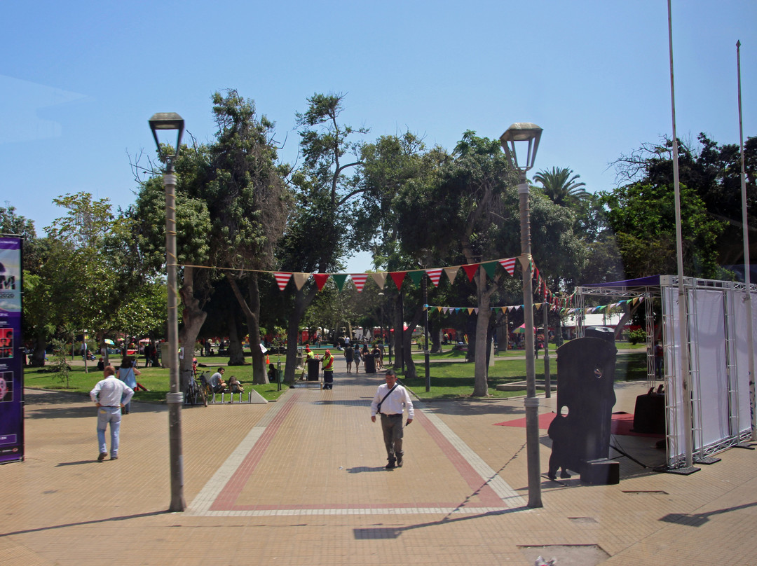 Plaza de Armas-拉塞雷纳必去景点