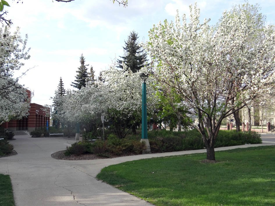 MacEwan University - City Centre Campus景点图片