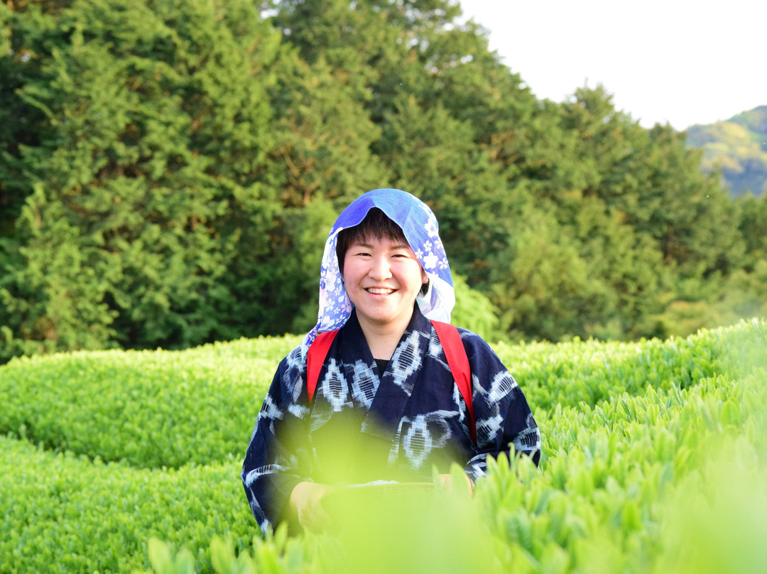 Kiwi Fruits Country Japan景点图片