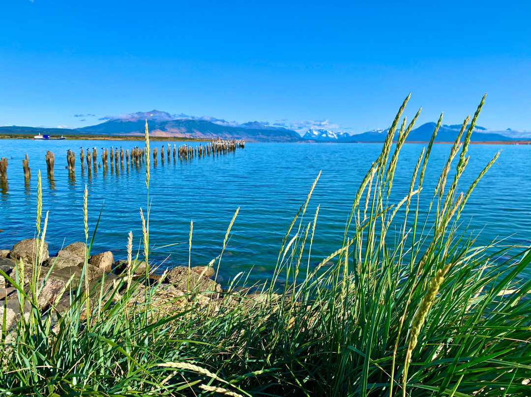 Monumento de la Mano-纳塔莱斯港必去景点