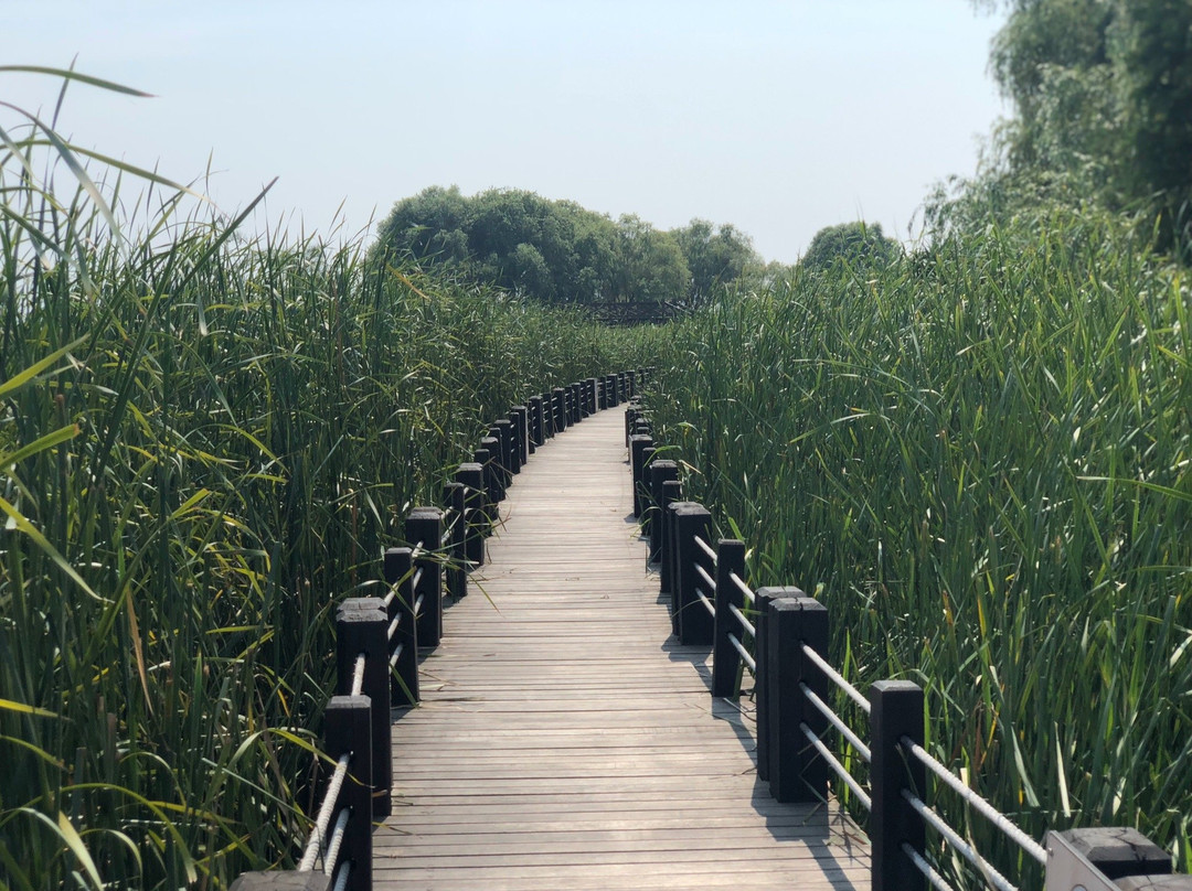 苏州太湖湿地公园-苏州市必去景点
