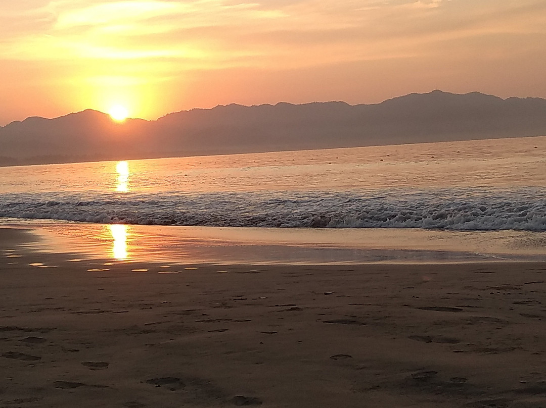 Los Angeles Locos主图