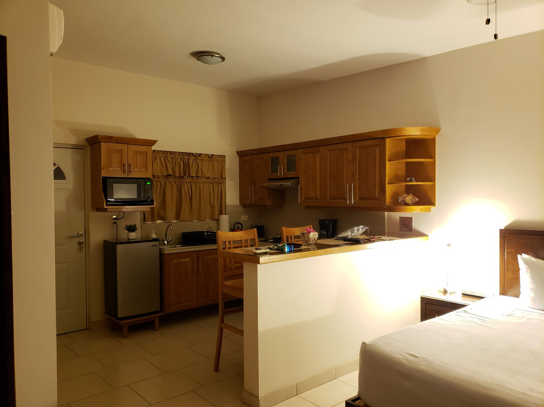 Bugambilias Suites Hotel主图