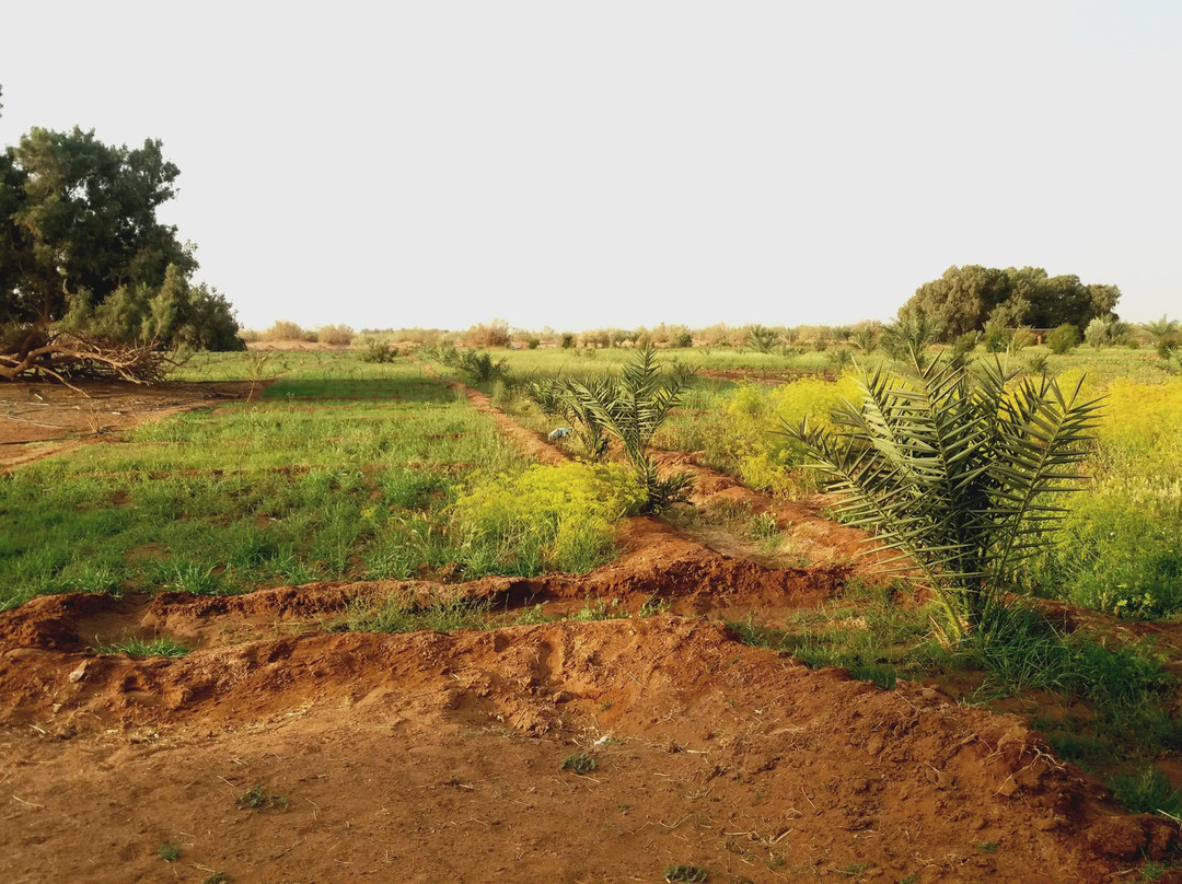 Ergsmar-迈哈米德必去景点