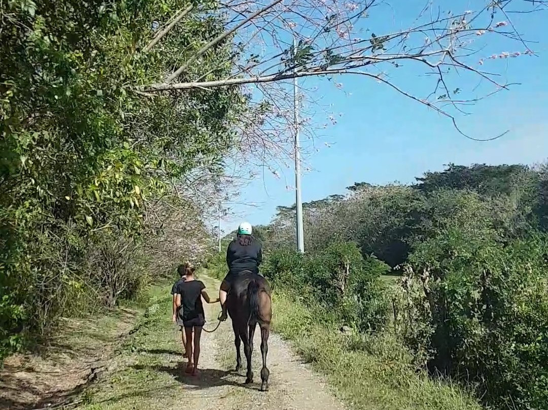 Friendship Riding Stables-Canaan必去景点