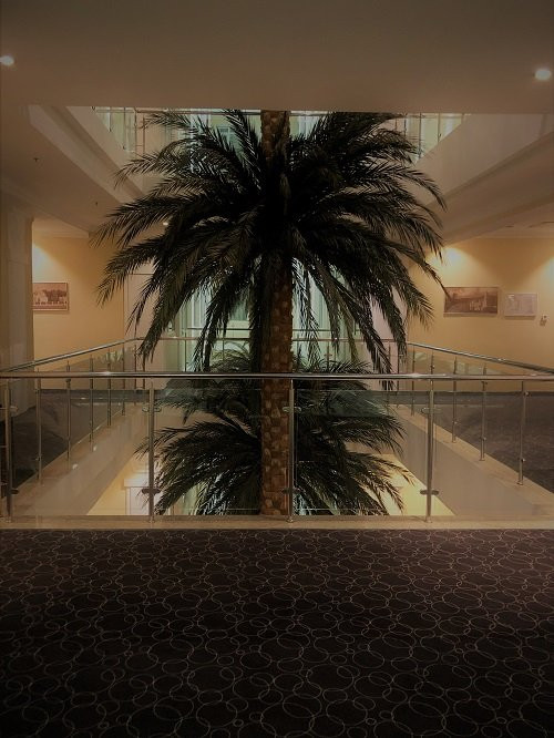 Prince Park Hotel主图