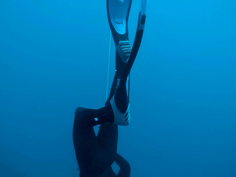 Blue Immersion Freediving-涛岛必去景点