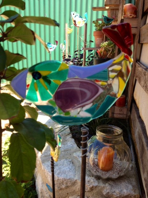 Fine Art Kangaroo Island-金斯科特必去景点