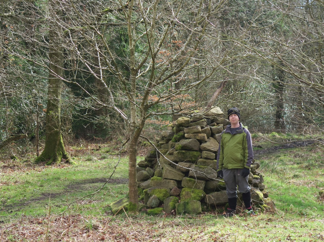 Chopwell Wood-Chopwell必去景点