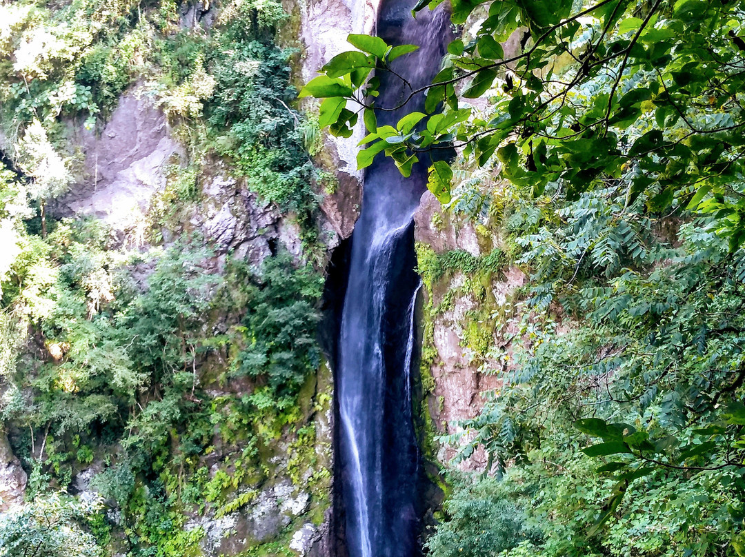 Reserva Aguas Chiquitas景点图片