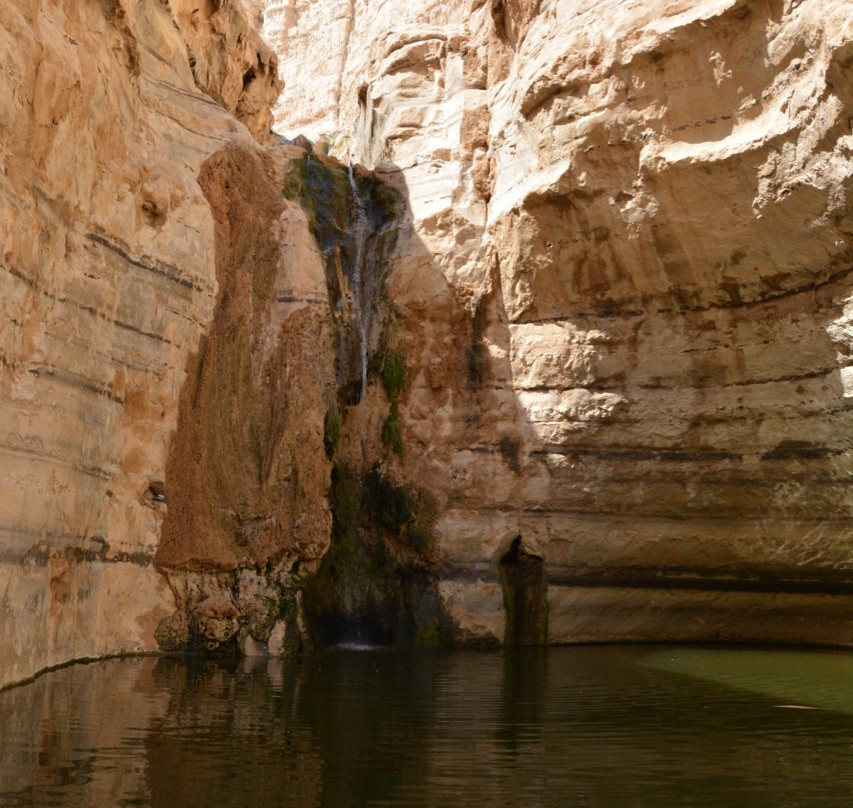 Ein Avdat National Park景点图片