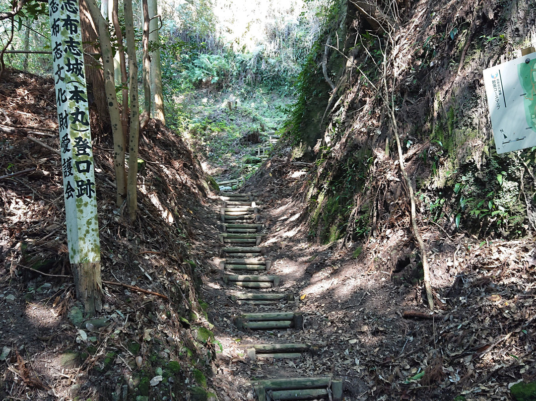Shibushi Castle Site景点图片