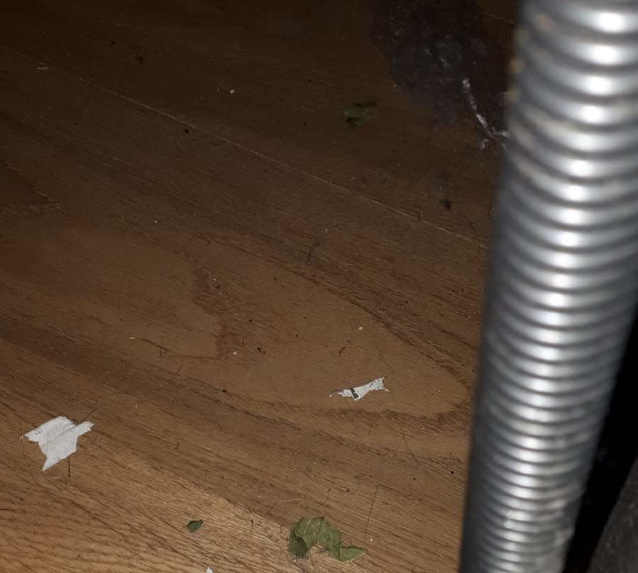 Palacio Horkasitas主图